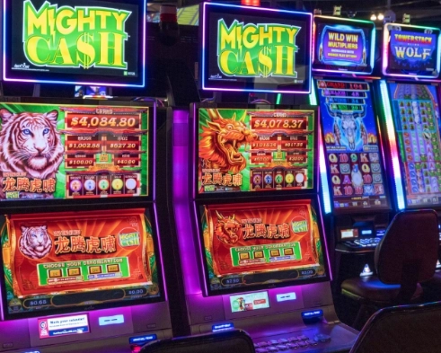 taxoma casino traditions hospitality group